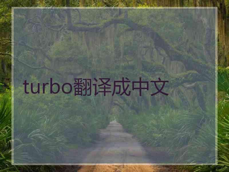 turbo翻译成中文