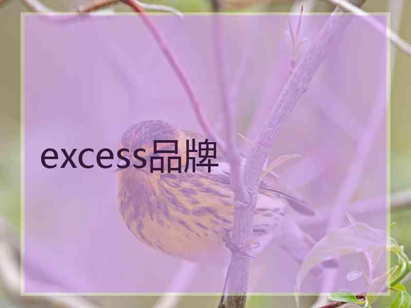 excess品牌