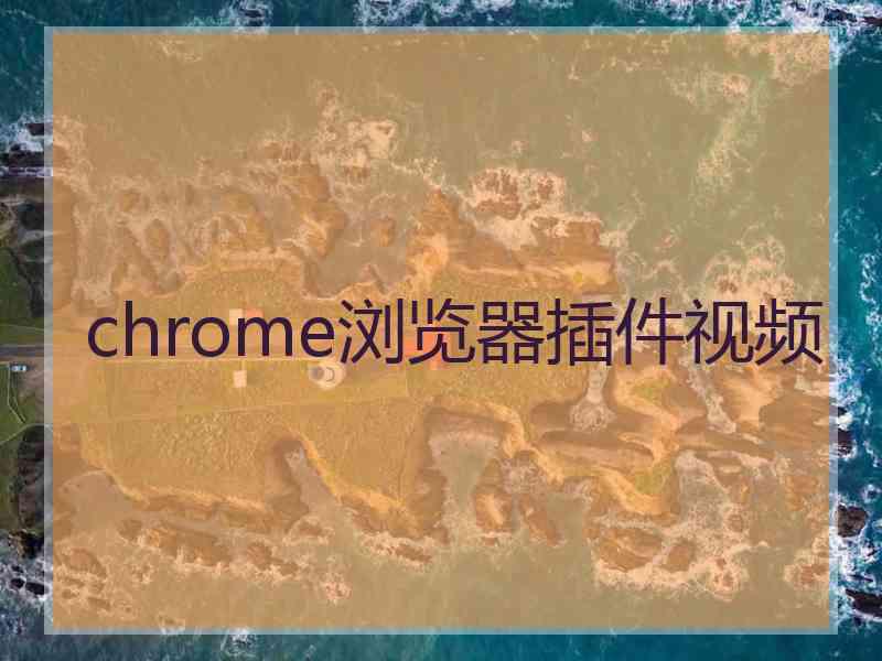 chrome浏览器插件视频