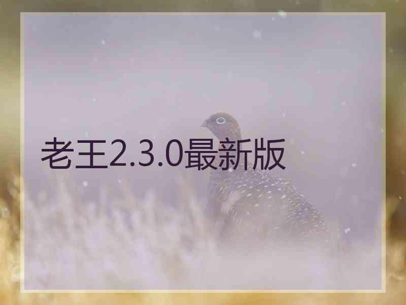 老王2.3.0最新版
