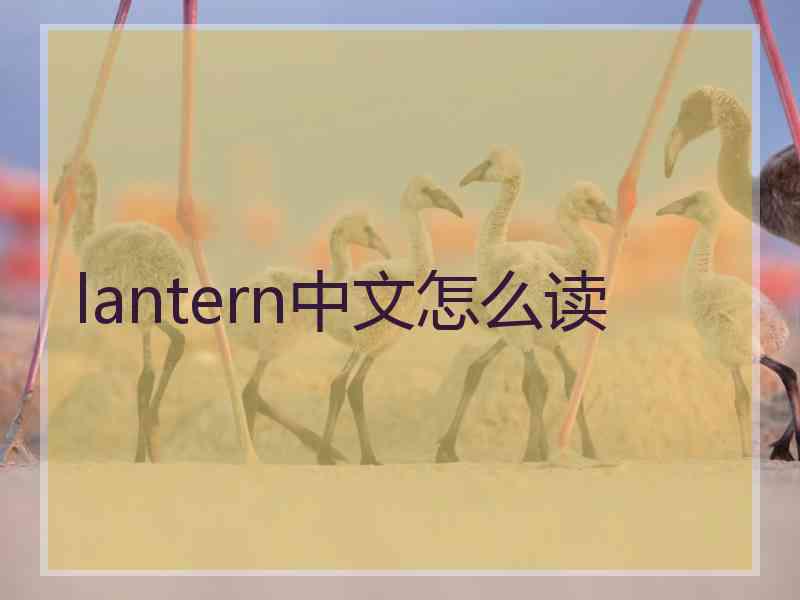 lantern中文怎么读