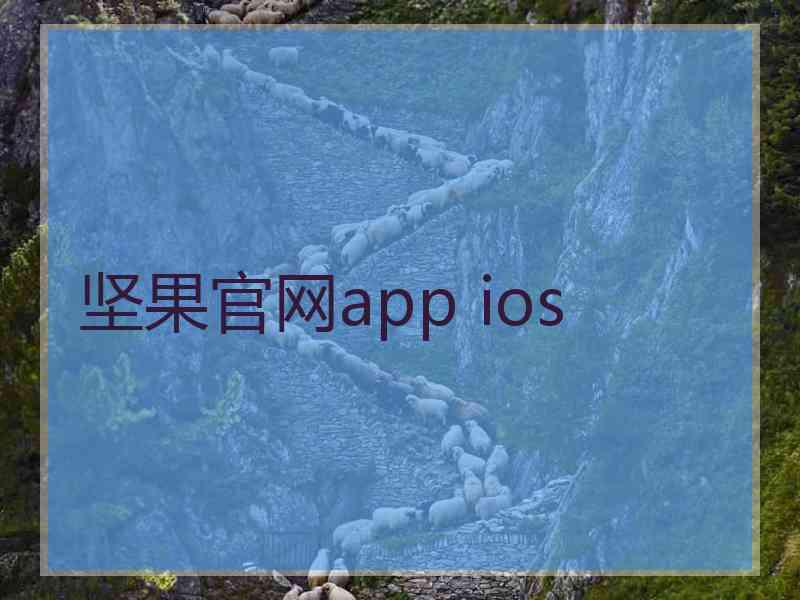 坚果官网app ios