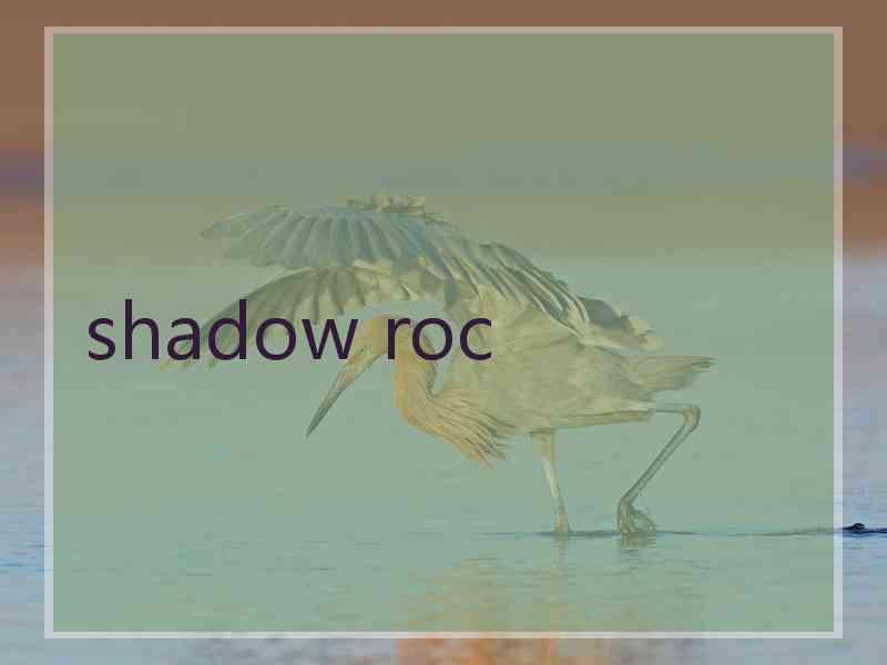 shadow roc